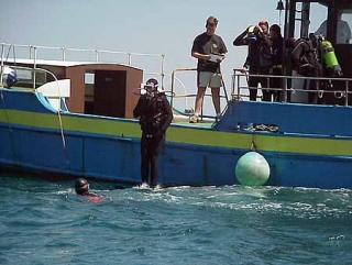 Learn to dive 